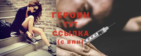 индика Бронницы