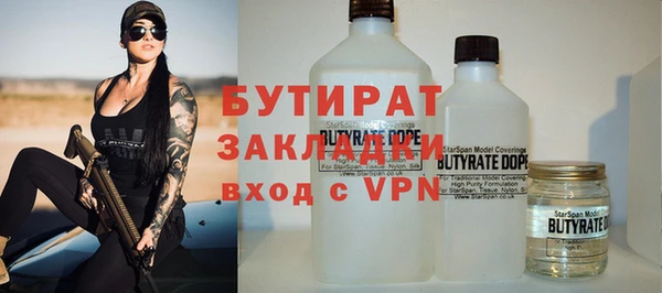 индика Бронницы