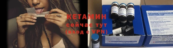индика Бронницы