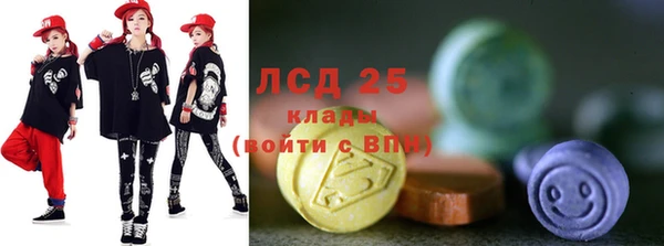 гашик Бородино