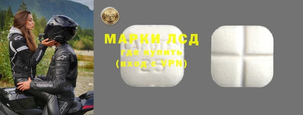 индика Бронницы