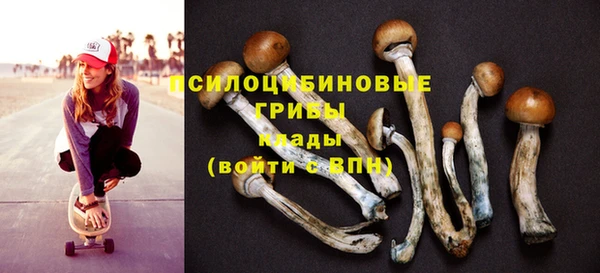 гашик Бородино
