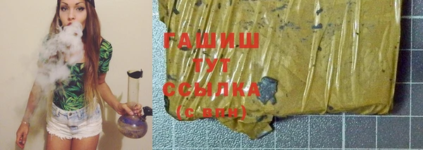 индика Бронницы