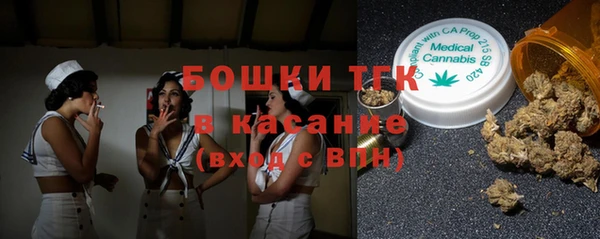 гашик Бородино