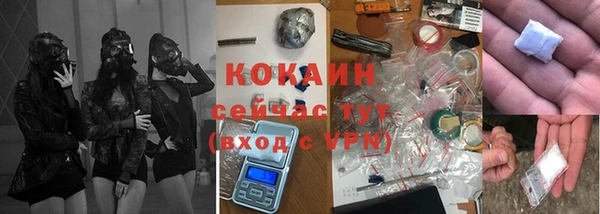 индика Бронницы