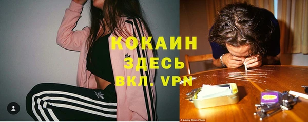гашик Бородино