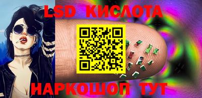 шишки Кандалакша