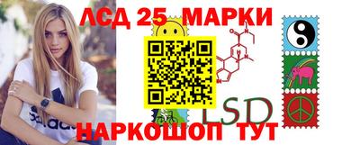 шишки Кандалакша