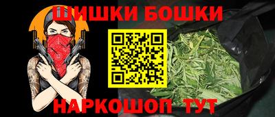 шишки Кандалакша