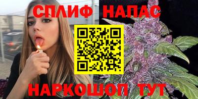 шишки Кандалакша
