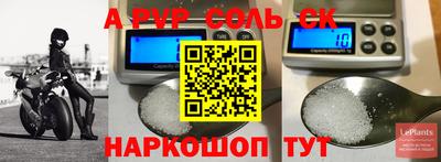 соль ск Камышлов