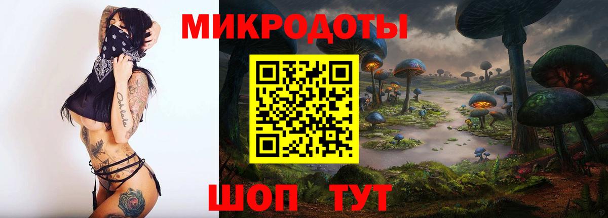 Галлюциногенные грибы MAGIC MUSHROOMS  Вход с VPN  Можайск 
